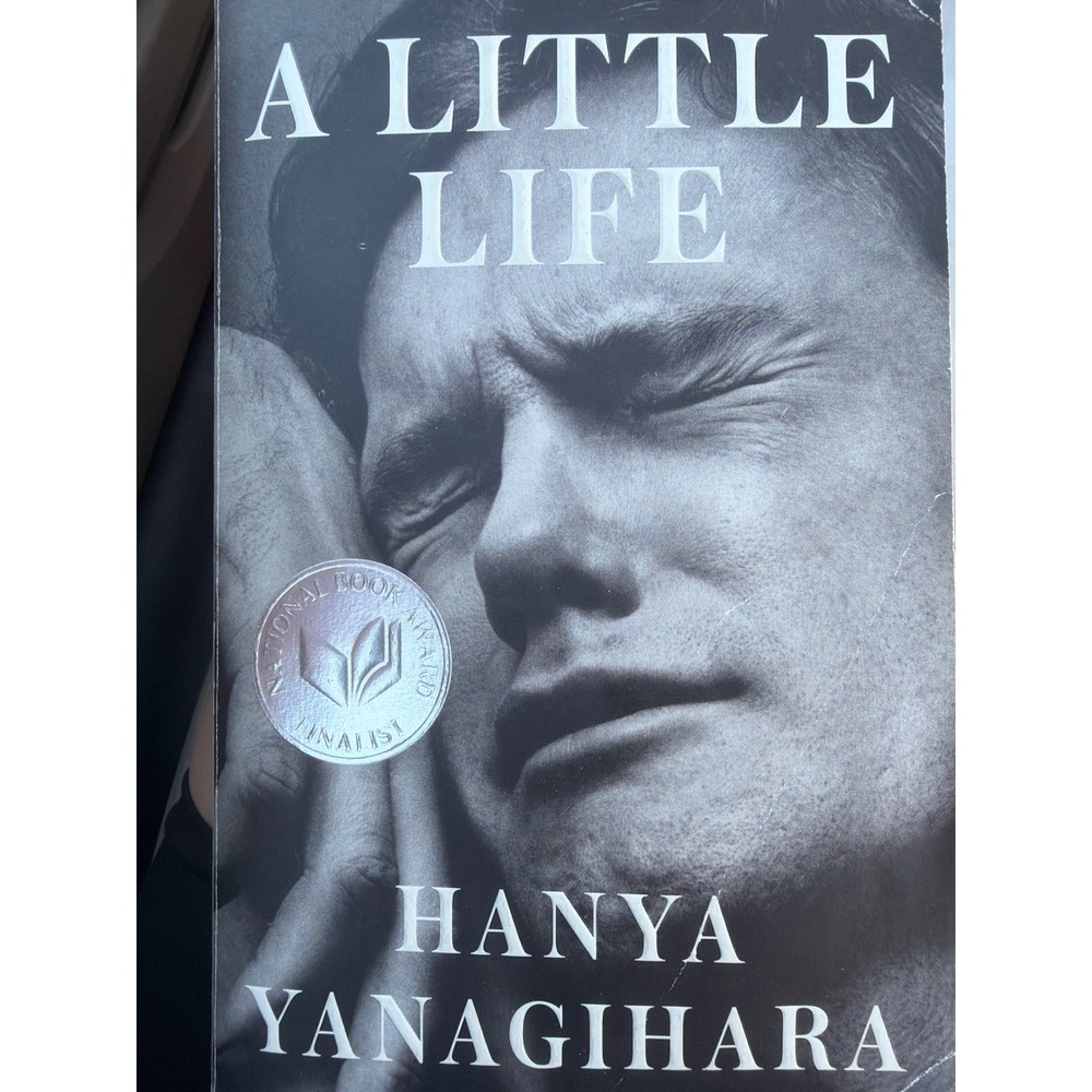 A Little Life Hanya Yanagihara Paperback Novel Anchor Books 2016 Fiction